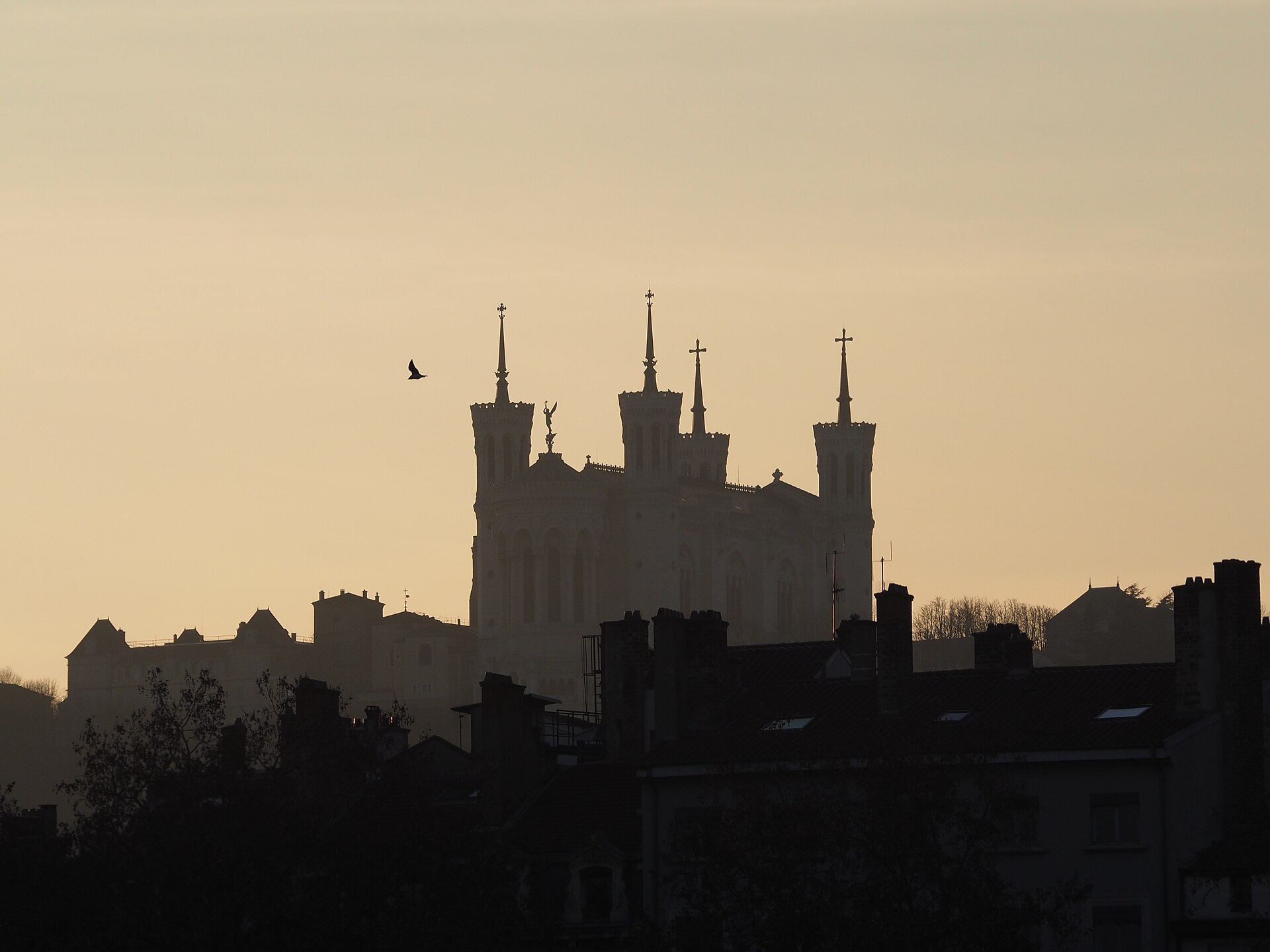 Recruter un agent de sécurité CNAPS à Lyon. — Renforteo